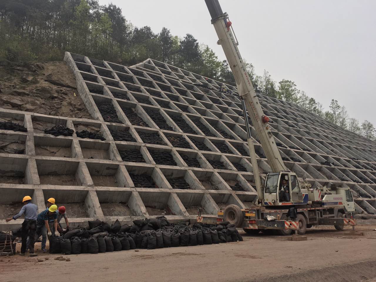 重庆江津至贵州习水高速公路（重庆境）工程