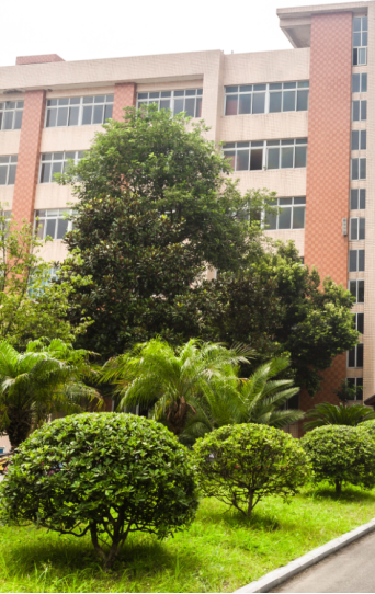 白市驿中小学周边道路工程