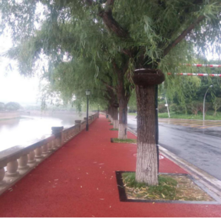 美丽绵阳游仙景观提升工程项目